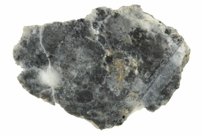 Lunar Meteorite ( g) Section - Bechar #348211